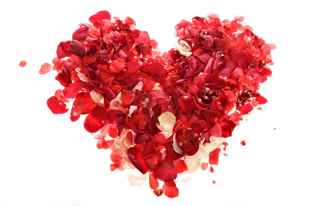 Rose%20Petals Romantic Valentine Roses And Hearts 2014